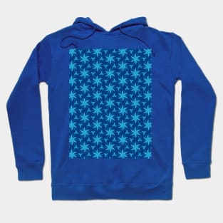 Spinning Stars Hoodie